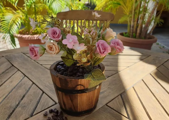 Toni Kunchi - Authentic Curacao Hospitality